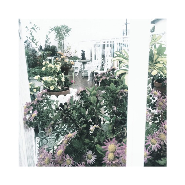 secret pavement garden || rain brings newness and newness is important...
