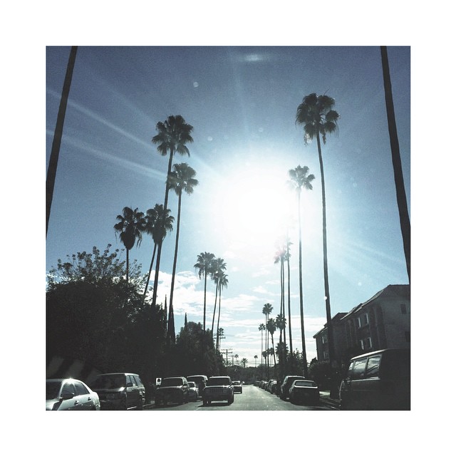 into the sun // the morning commute...