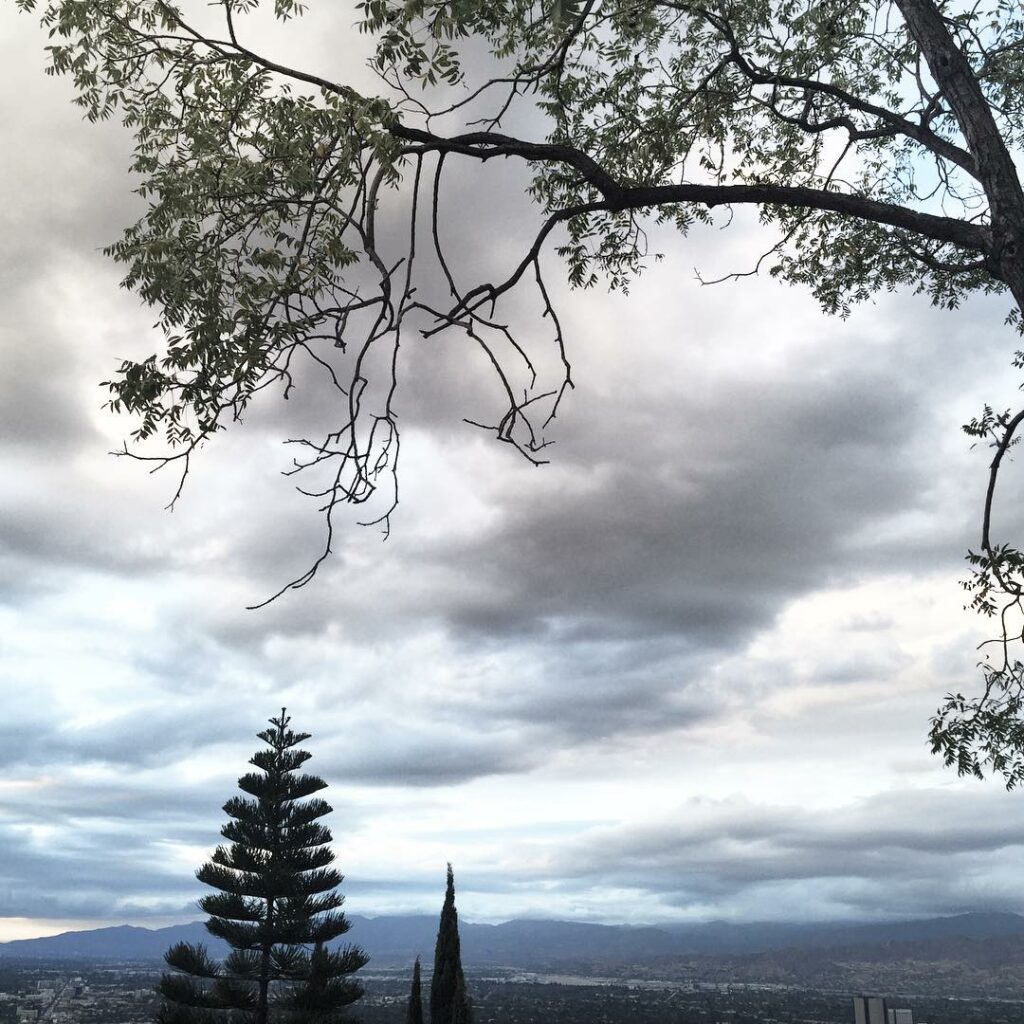 dear grey skies,...