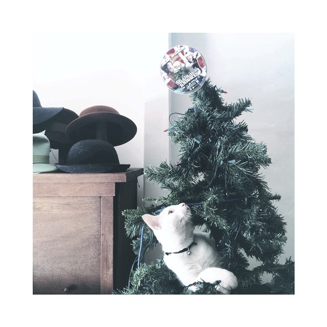 we decorated || @kidandthedoctor so ornamental...