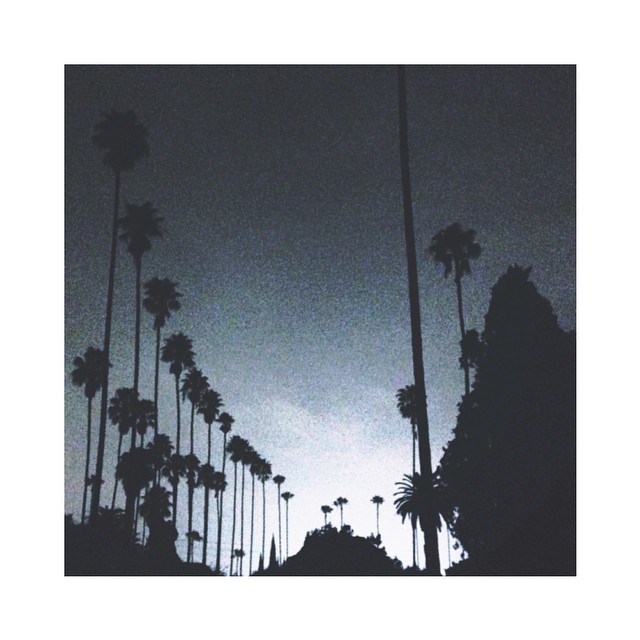 Hollywood Forever || show at the cemetery...