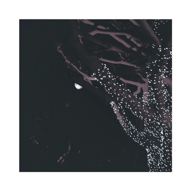 o sparkle tree, o sparkle tree || lemme holla atcha...
