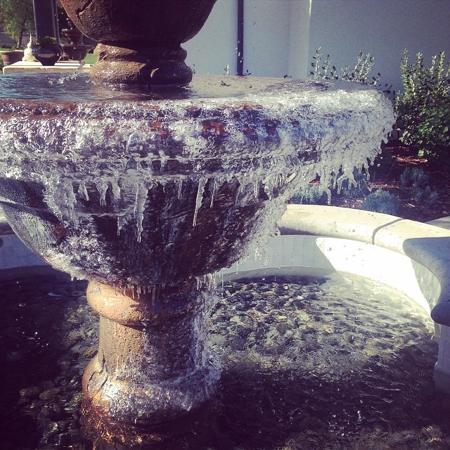 It's COLD in LA! My fountain has icicles! ...