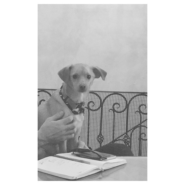 morning meetings...
