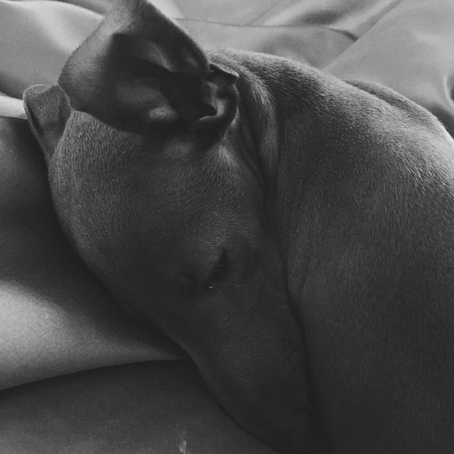 goodnight bby...