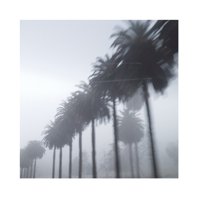 Los Angeles is hiding...