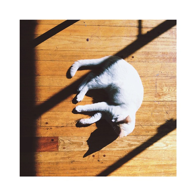 Saturday naps || I feel you...
