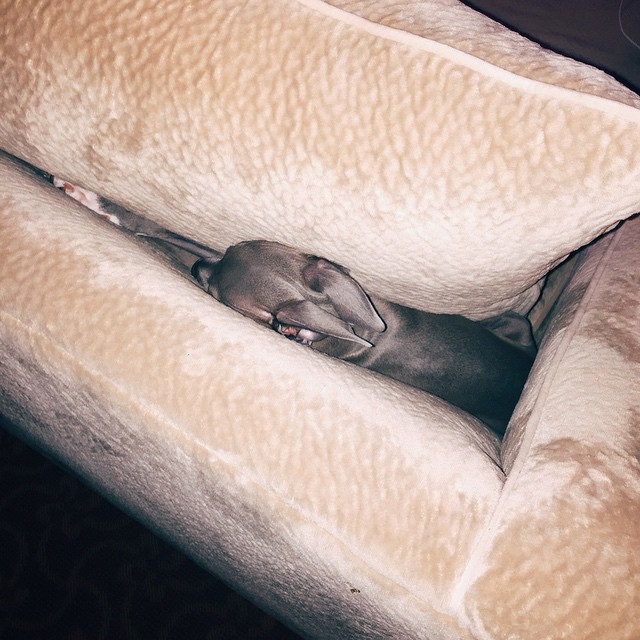 what are u doing in there norm!...