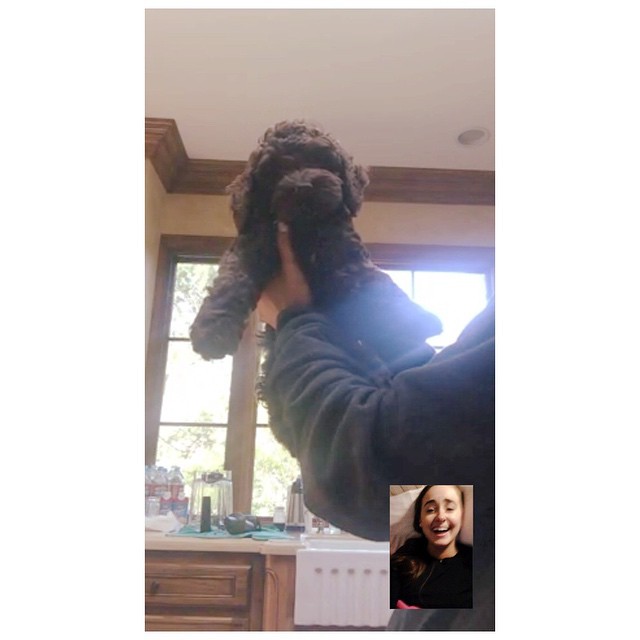 sirius and @lexie1225 facetimin. i miss my best friend .・゜゜・（／。＼）・゜゜・．...