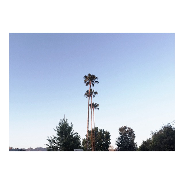 good morning, LA...