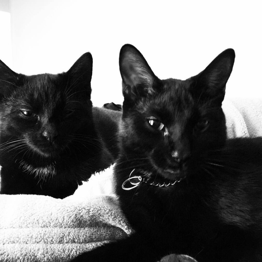 these boys...