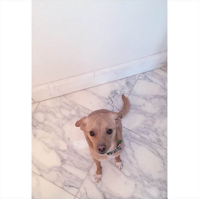 the most precious babe in the world...