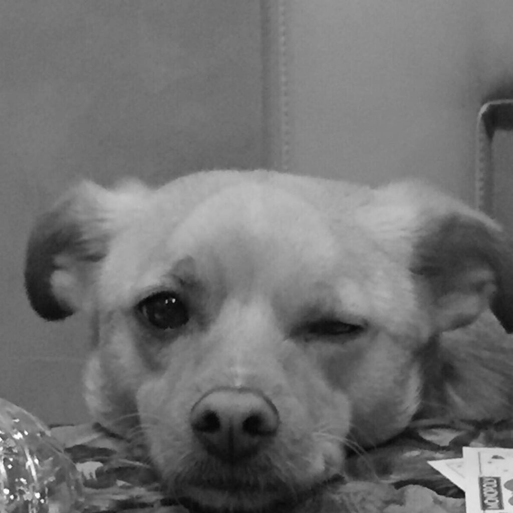 mood...