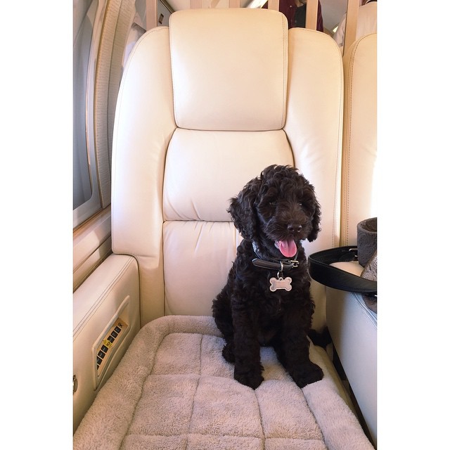 sirius' first flight ...