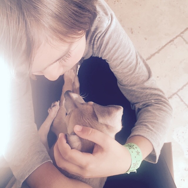 Mason is a little obsessed with Bambi! The cutest  Kylie, everyone is taking goo...