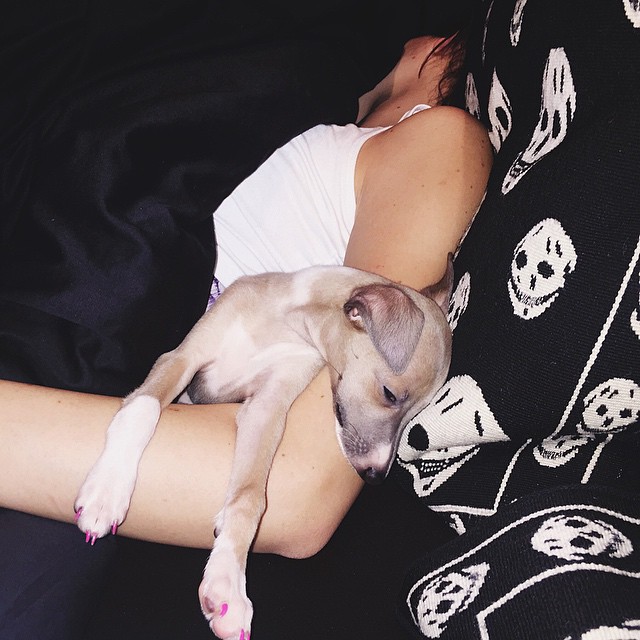 came home to these babes sleeping in my bed...