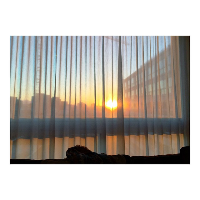 mornings after full moon nights || #CaliforniaAndI...