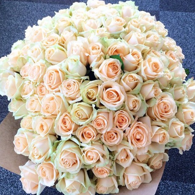 Life is too short to not surround yourself with beautiful things. Focus on the l...