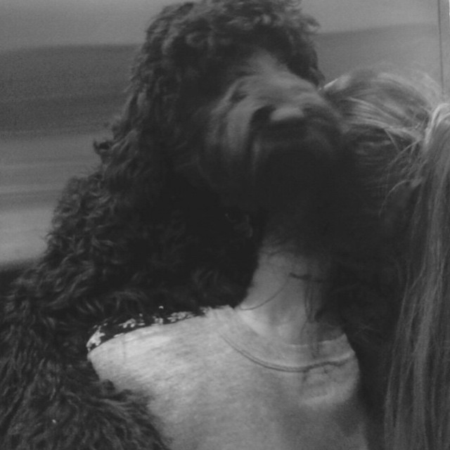 #ophelia #nationalpuppyday #notapuppyanymore #atall #shesimmense missing my babe...
