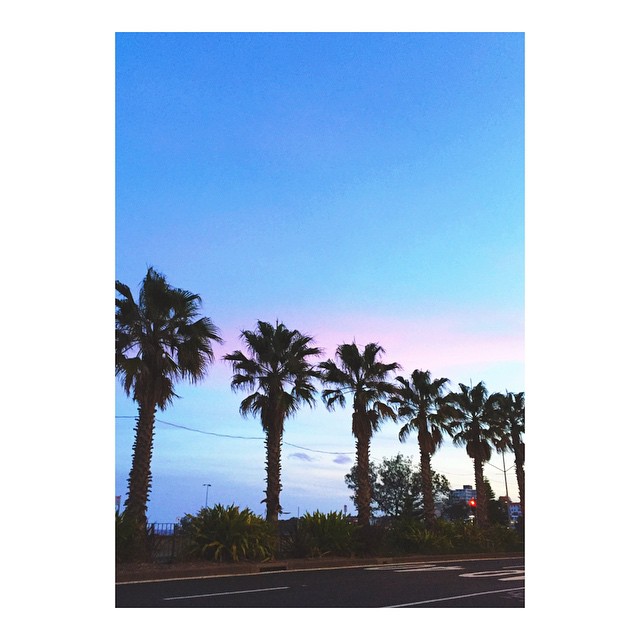 Ugh Sydney you slay me || #AdventureInColour...