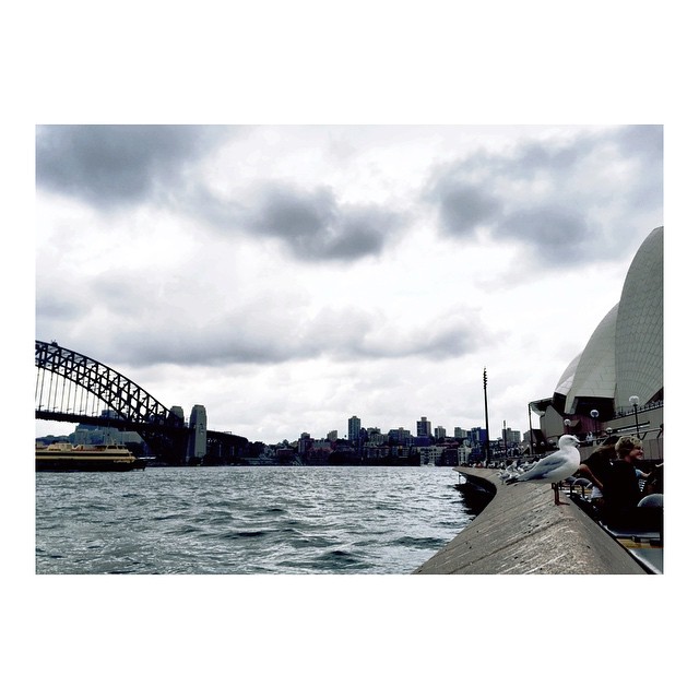 between the Harbour Bridge and the Opera House we found carbs || #AdventureInCol...