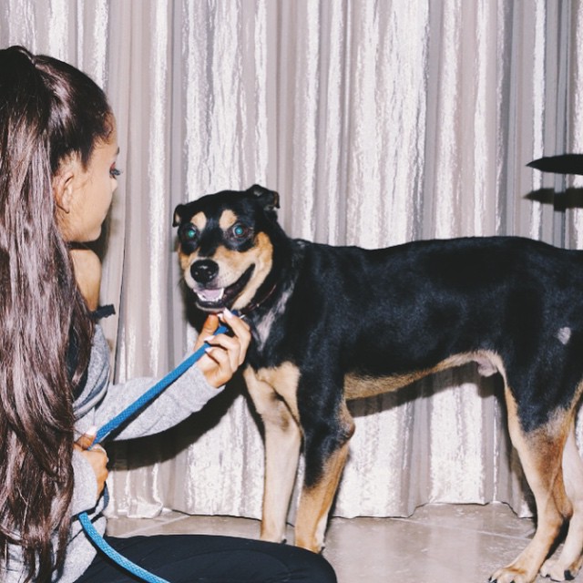 Miami babes! This is pretty boy Wade, one of the Miami pups i sponsored to be ad...