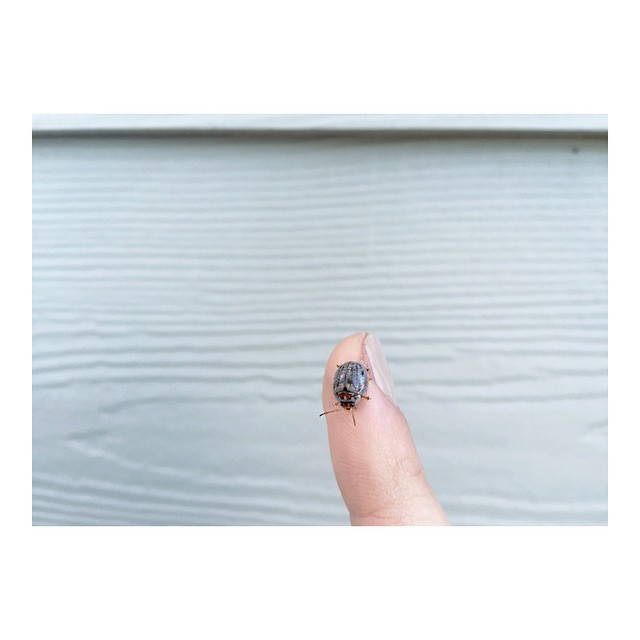 good news I made a friend || #CaliforniaAndI...