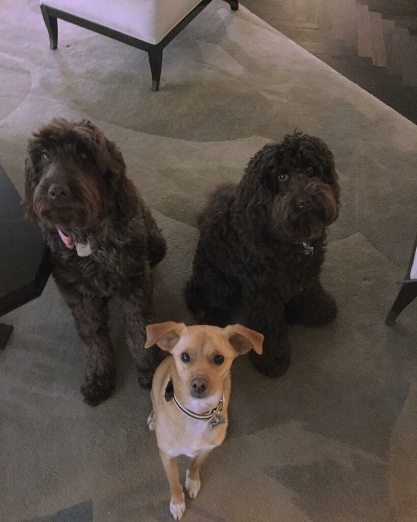you can't sit with us. #itsoctober3rd (OF COURSE TOULOUSE IS REGINA)...
