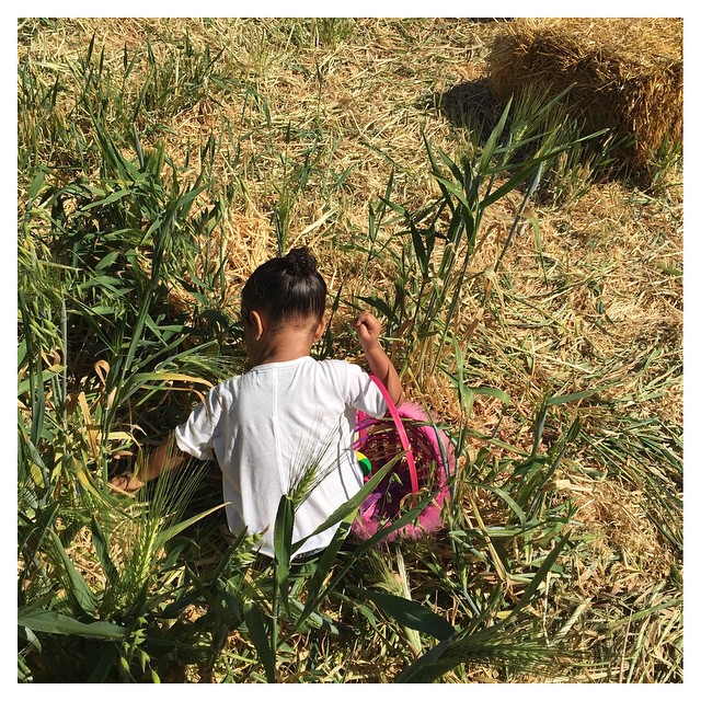 My baby girl on the hunt for Easter eggs at the farm! #PerfectSunday #GettingRea...
