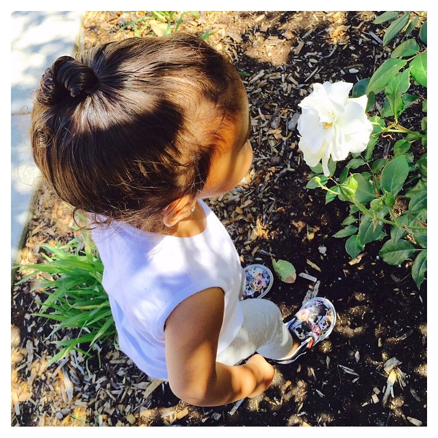 Wake up and smell the roses #morningwalks...