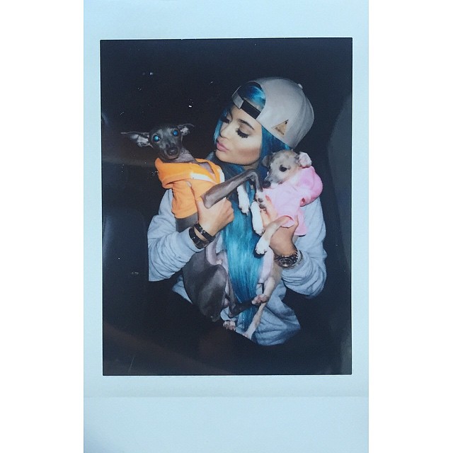 Tb. I love them ...