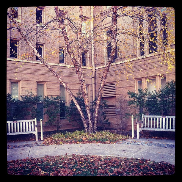 sit for a spell:...