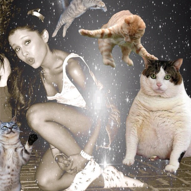 #catswillbecats #weirdestpictureever...