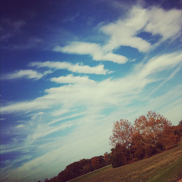 birds made of clouds:...
