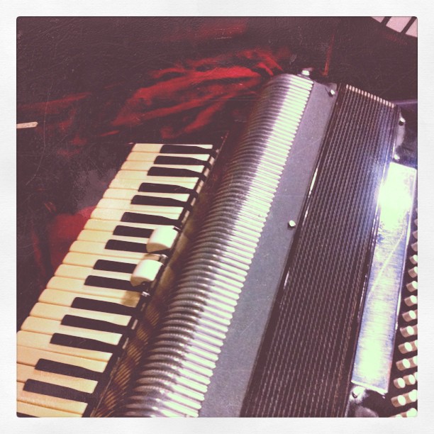 accordion majesty;...