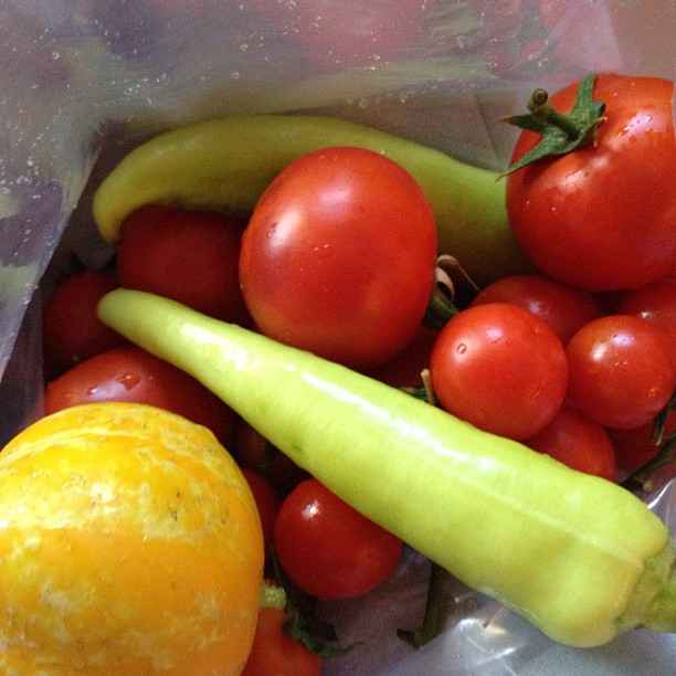 .@Hairroin Janine brought me some veggies from her garden! I'm so excited, they ...