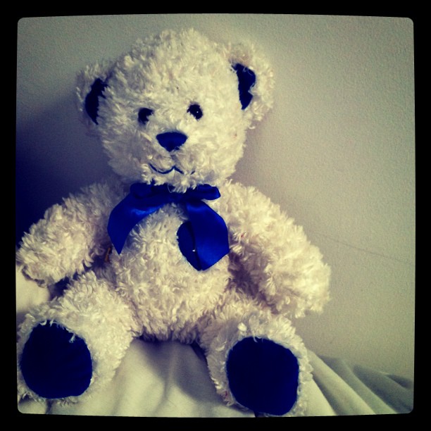 I like when teddy bears wear satin bowties. it's dapper....