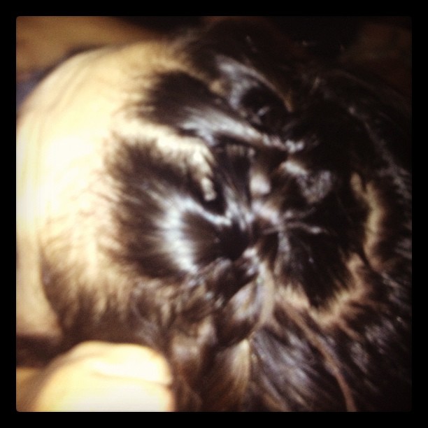I gave Avan a braid...