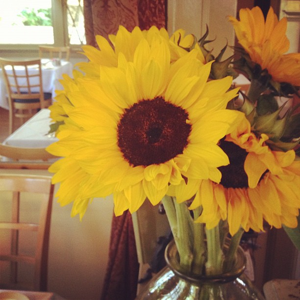 Sunflowers.. ...