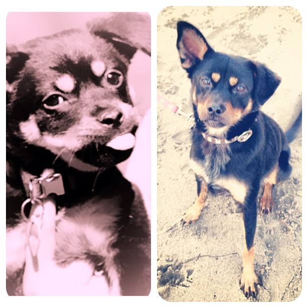 #throwbackthursday my baby then & now ...
