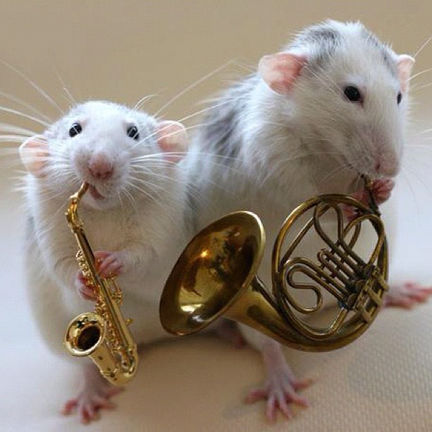 Look it's us, @lizgillz...