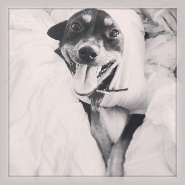 What I woke up to this morning #mylove...