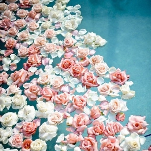 If something isn't growing. It's dying... Today I choose to be better than I was...