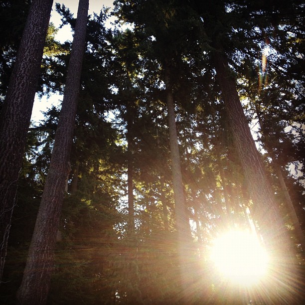 Wandering around the forest behind our trailers while waiting to film, so pretty...