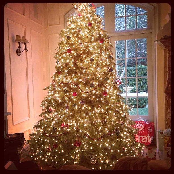 I know I already posted a tree pic but I wanted to post 1 more before Christmas ...