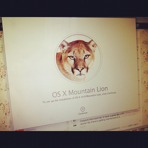 Very different but I'm loving Mountain Lion ...