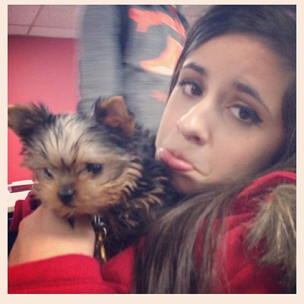 Awwwwwwwwh look at it...