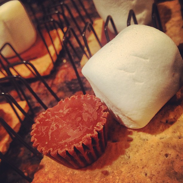 peanutbuttercup s'mores yall....