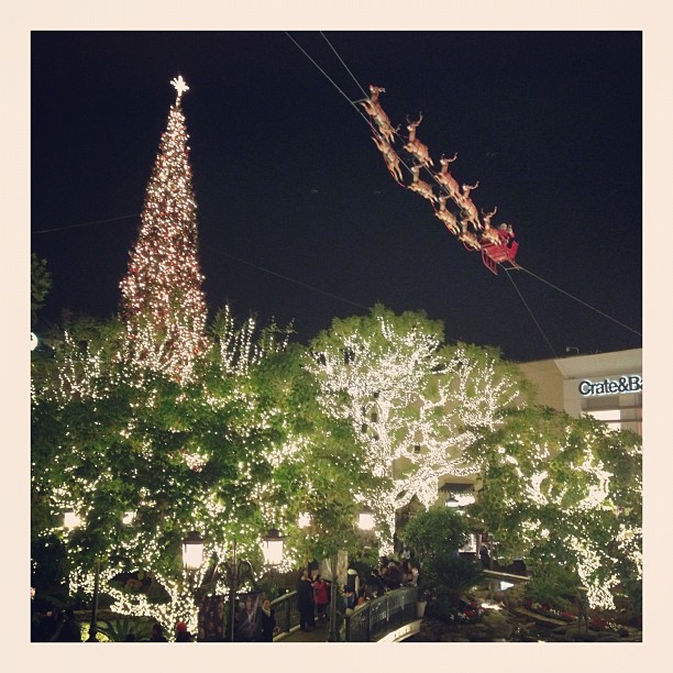 The Grove is so beautiful around this time of year!...