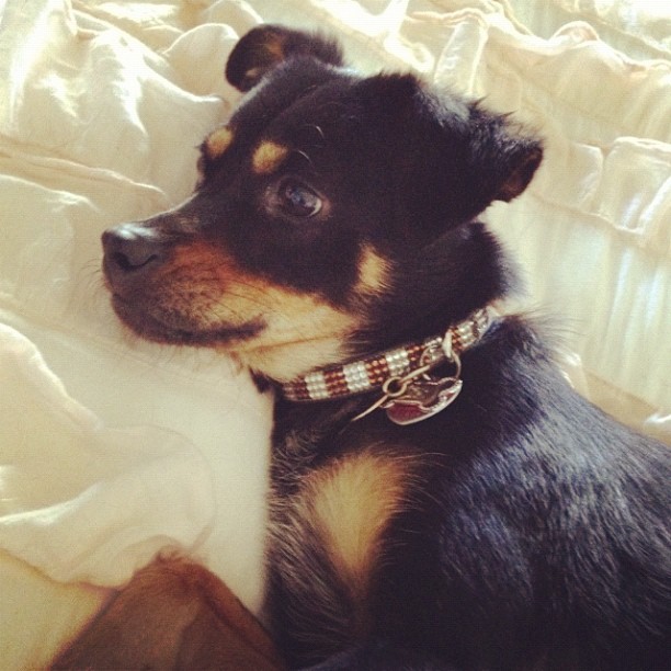 Missing my baby...